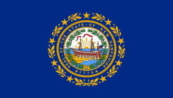 New Hampshire State Flag