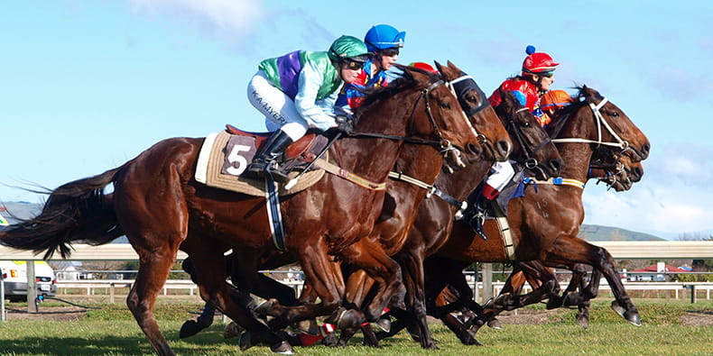 Horse Racing in New York