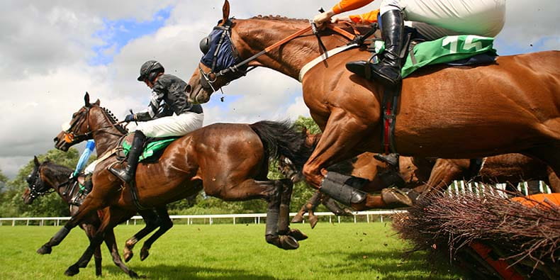 Irish Lega Games and Races