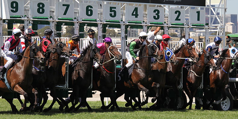 Horse race start in slow motion