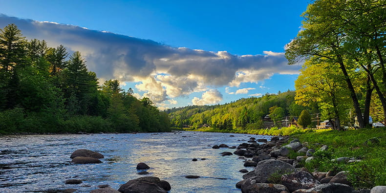 Maine State Nature