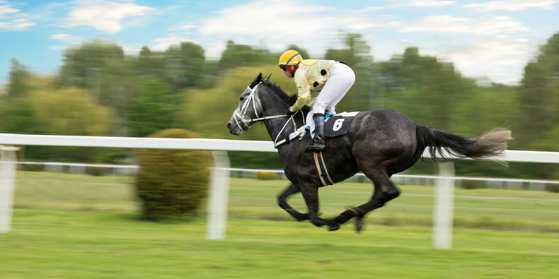 Horse racing event on dirt in action